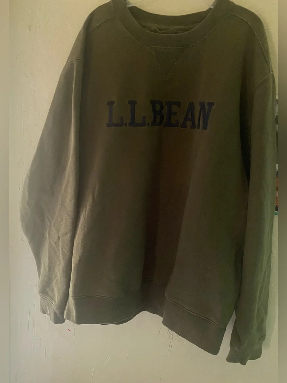 L.L BEAN Sweater